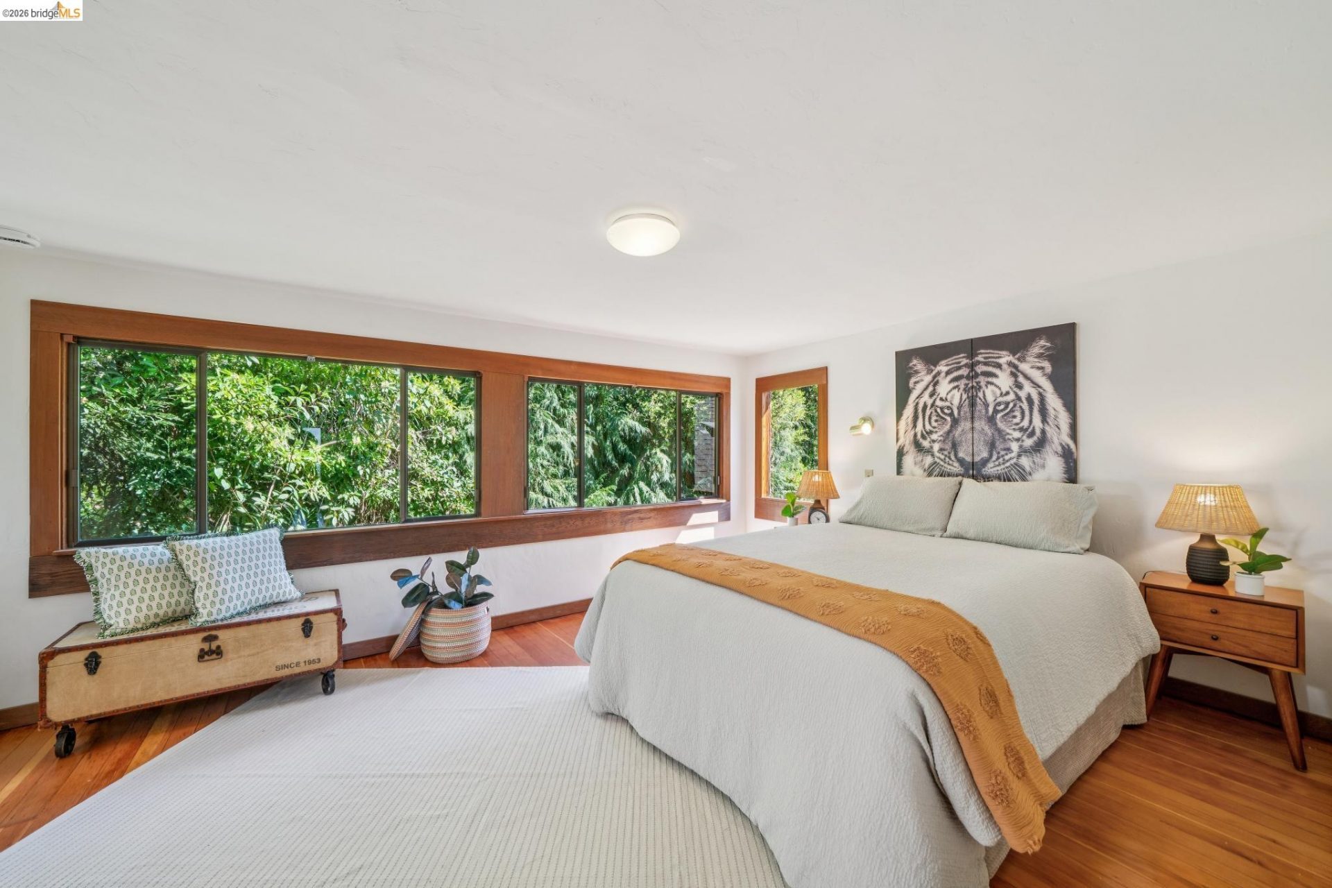 Property photo 51