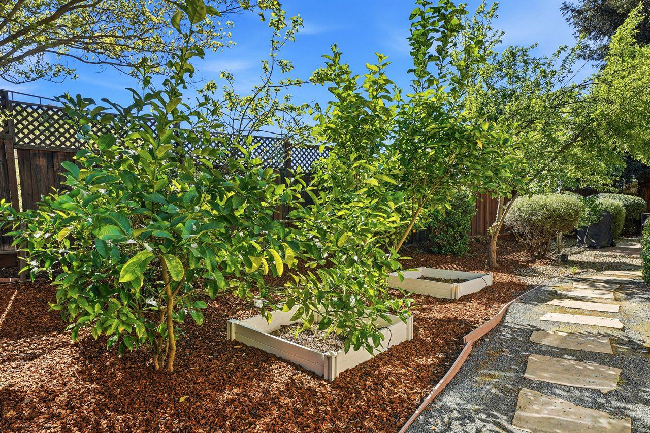 Property photo 46
