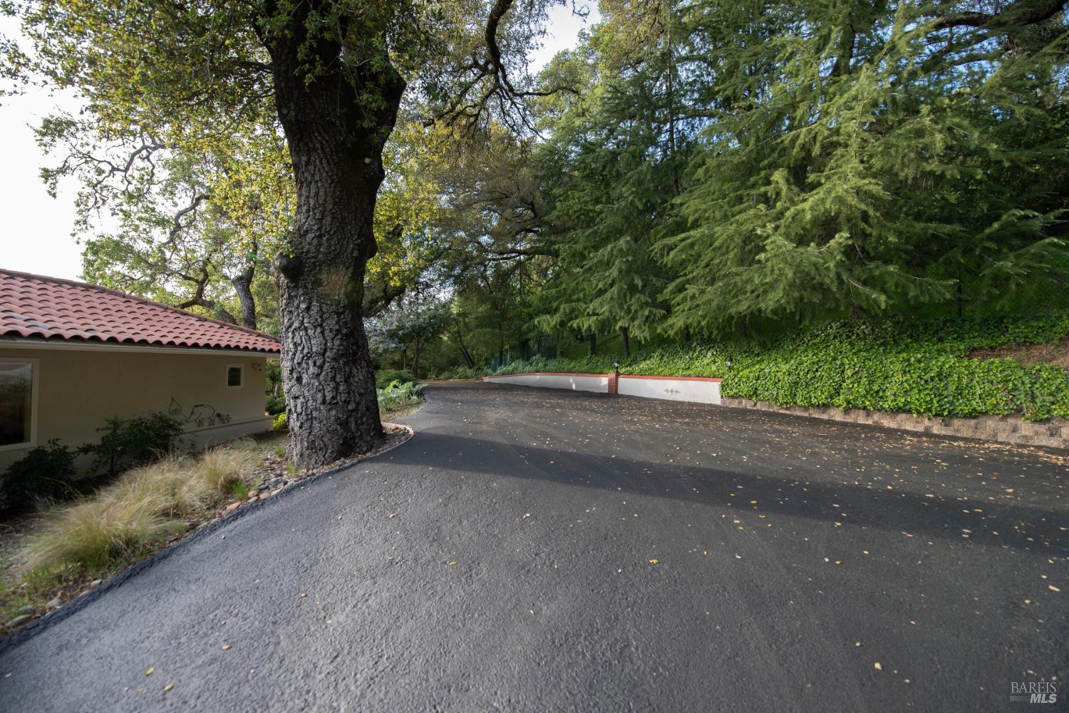 Property photo 42