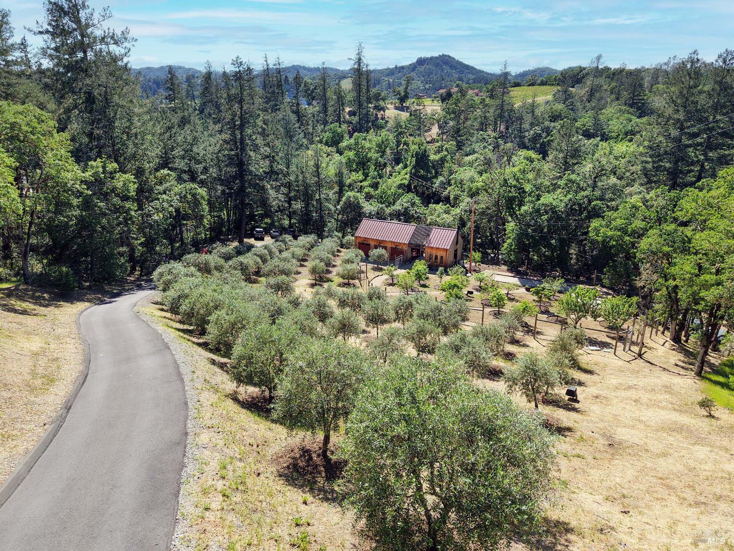 Property photo 45
