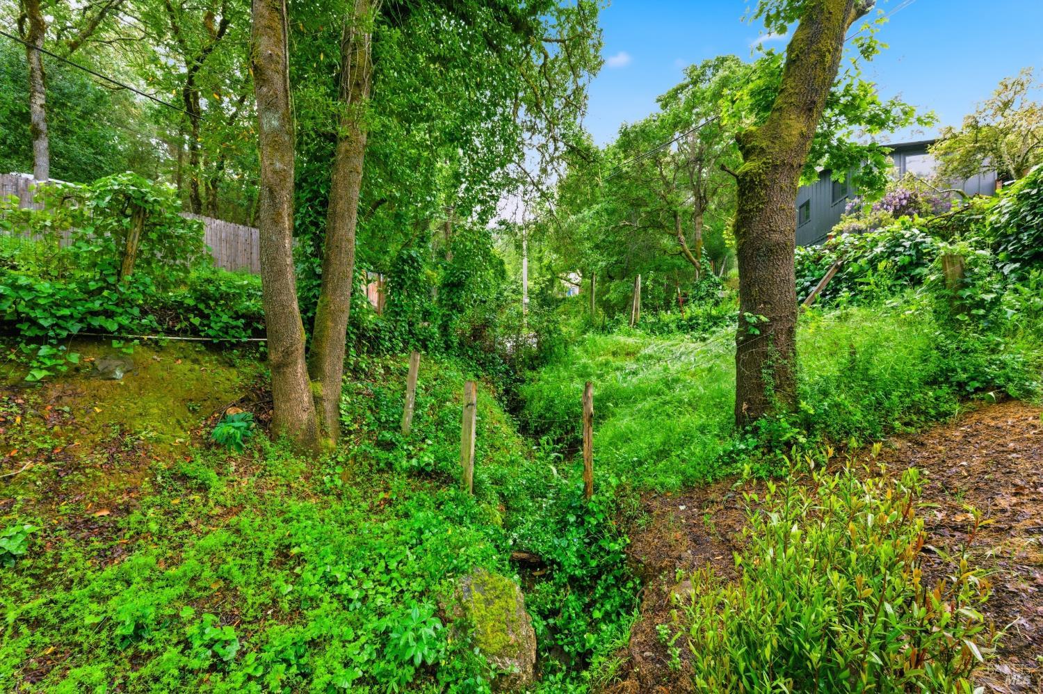 Property photo 37