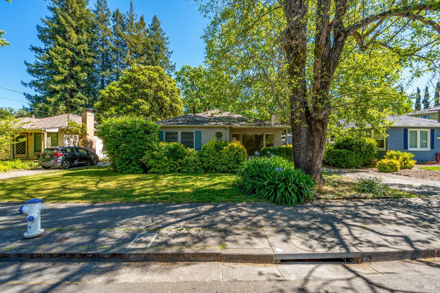Property photo 39
