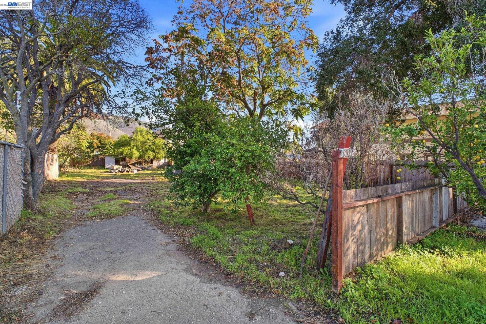 Property photo 38