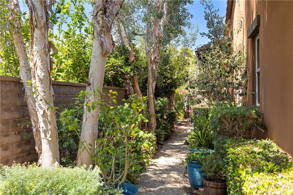 Property photo 50