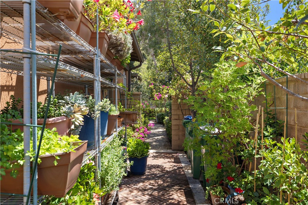 Property photo 51