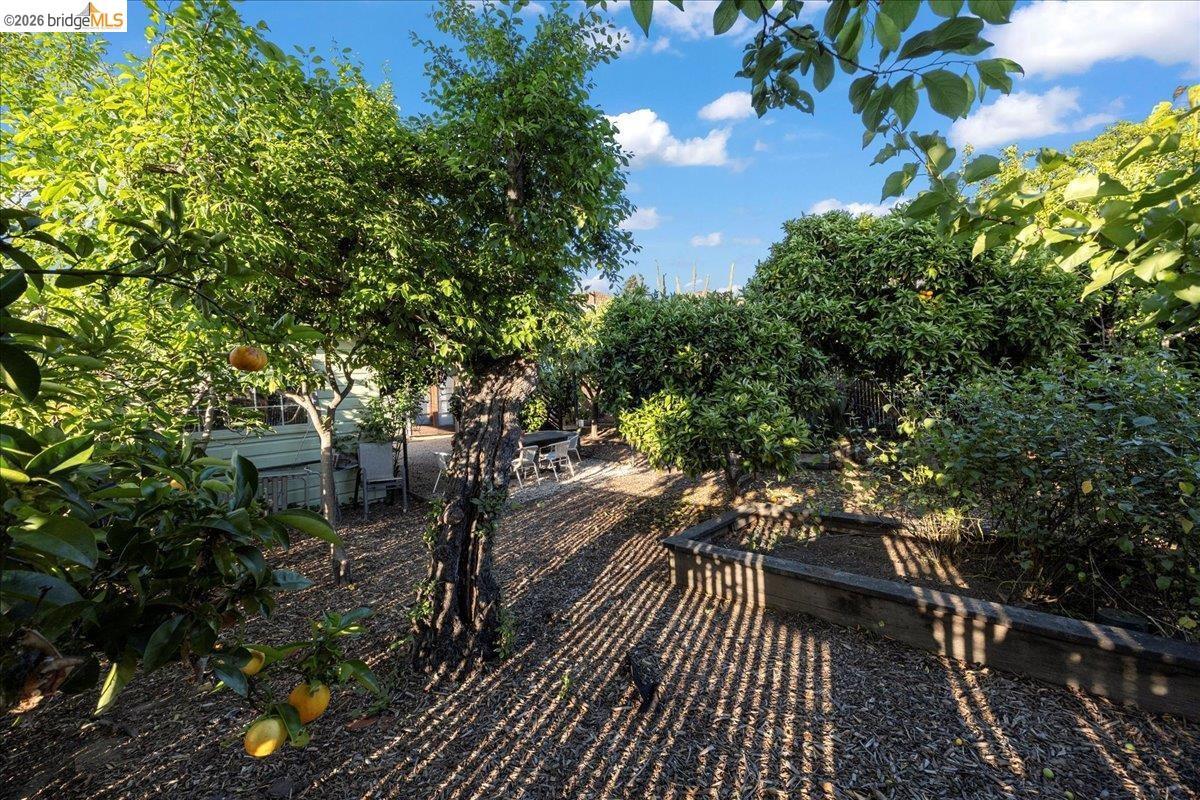 Property photo 44