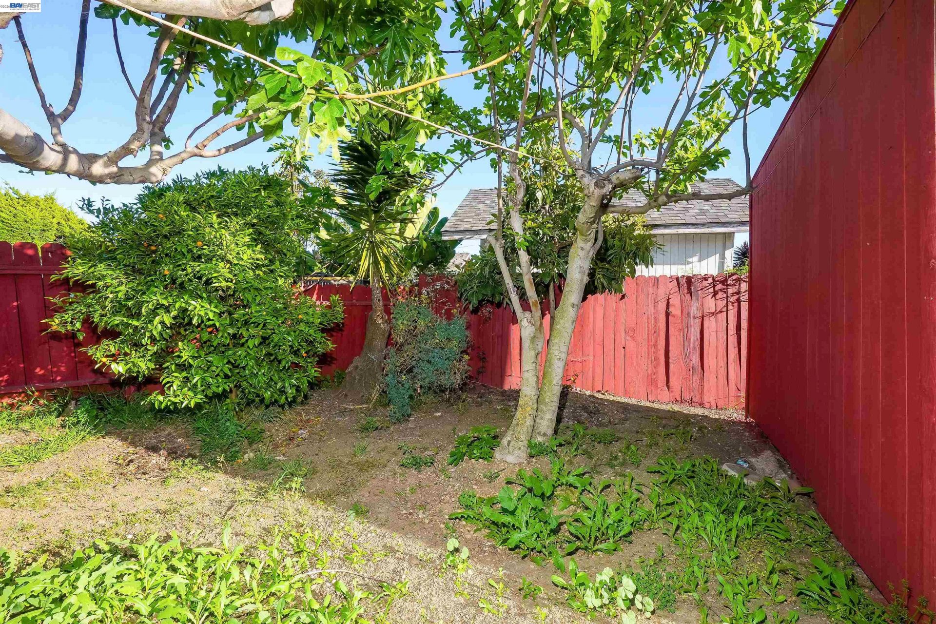 Property photo 46