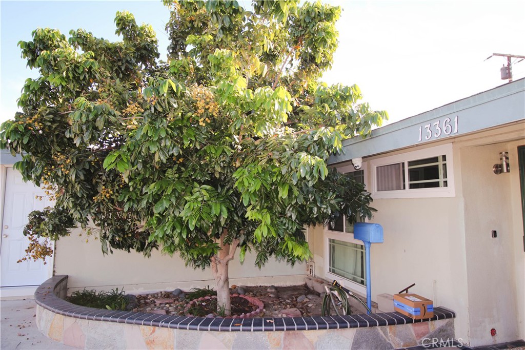 Property photo 36