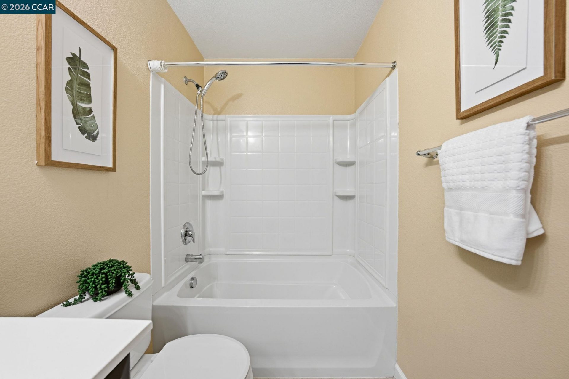 Property photo 43