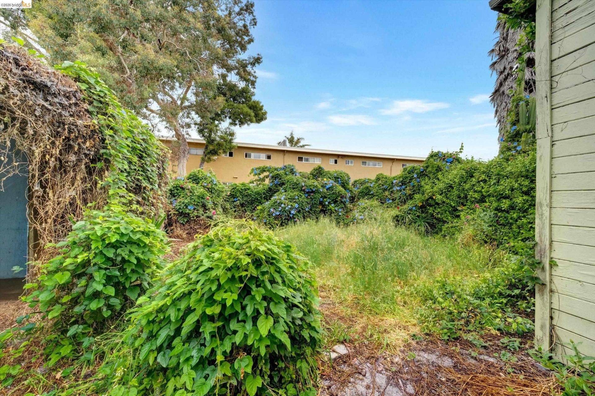 Property photo 34