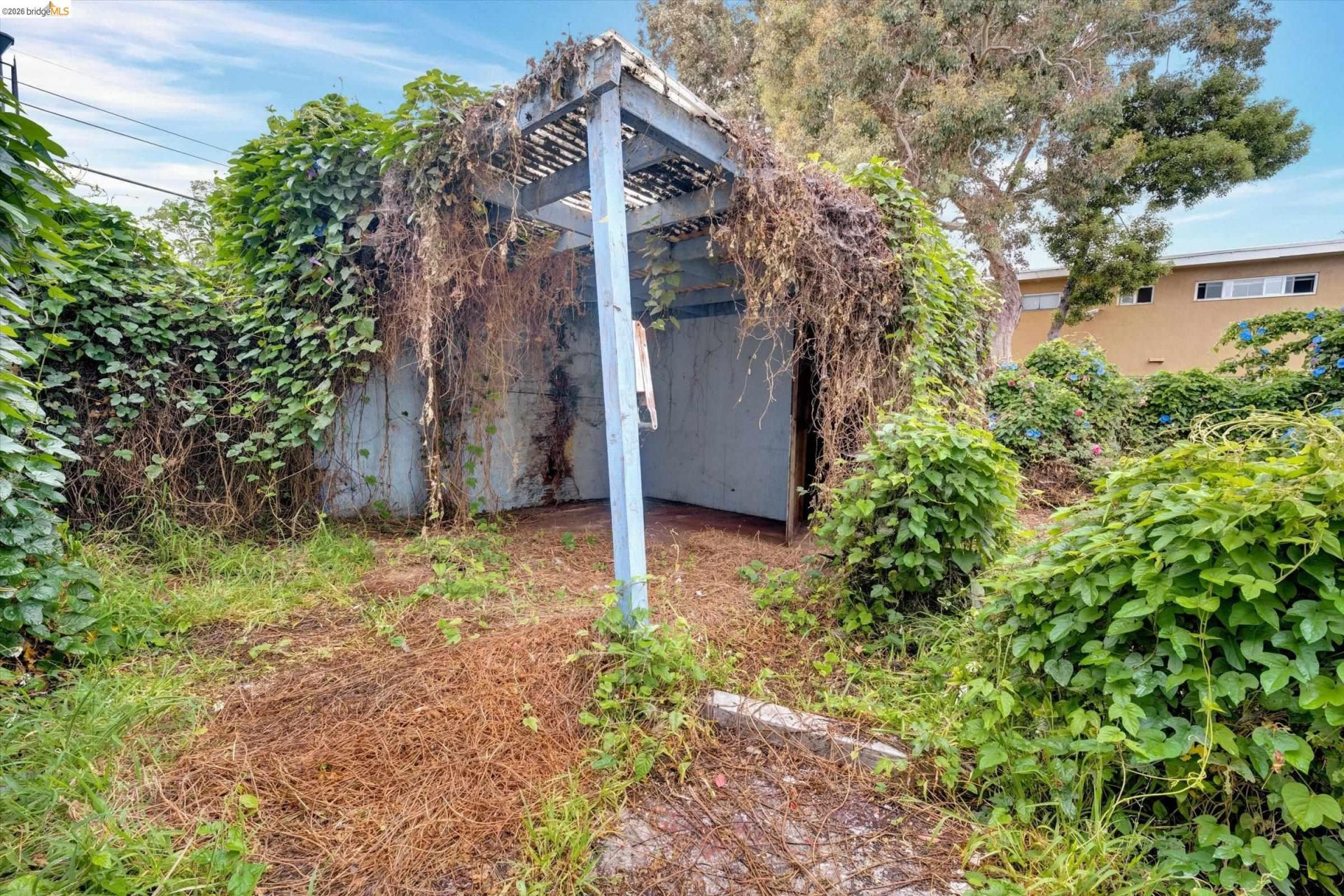 Property photo 38