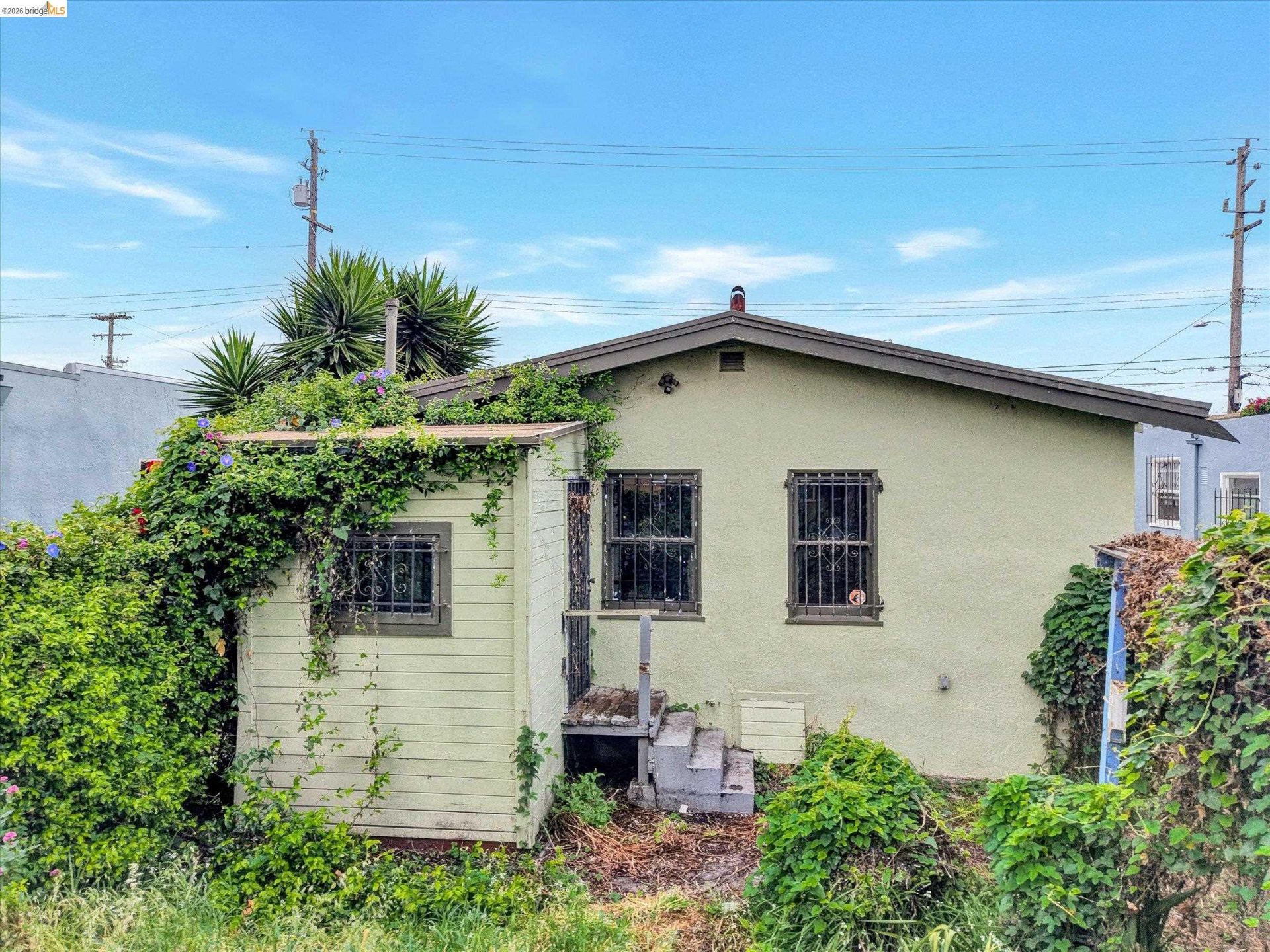 Property photo 44