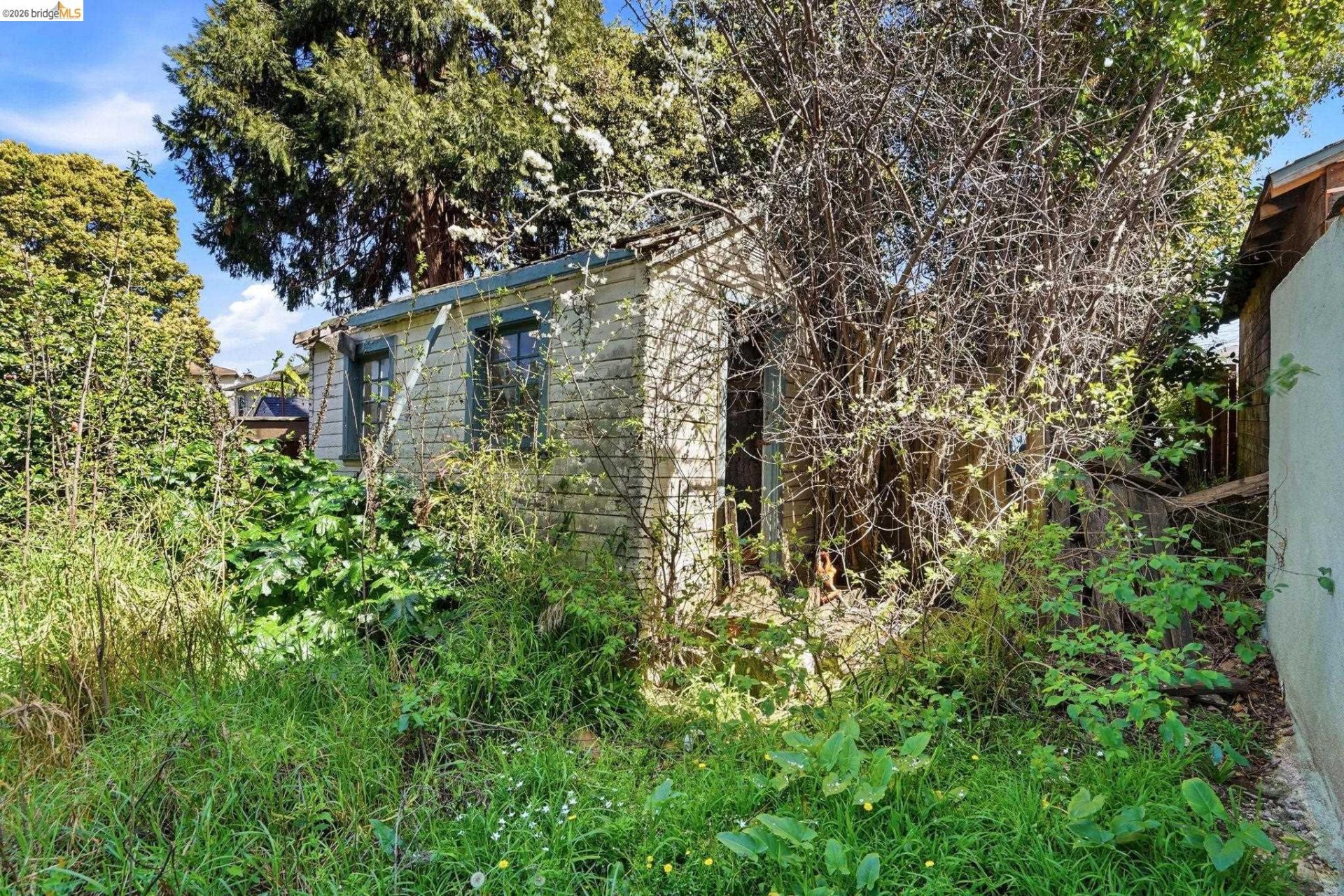 Property photo 12