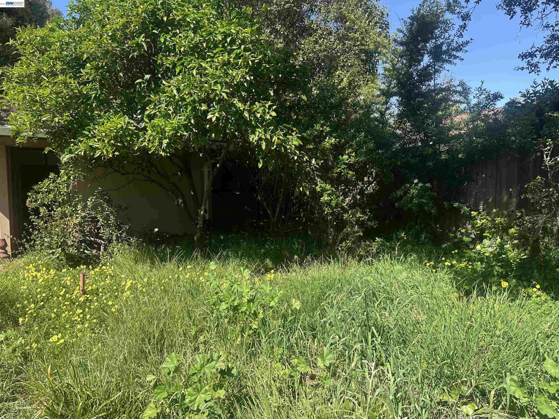 Property photo 35