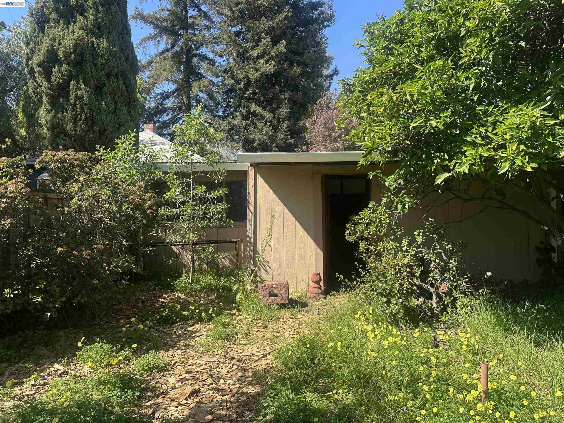 Property photo 36