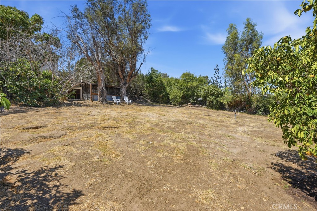 Property photo 49