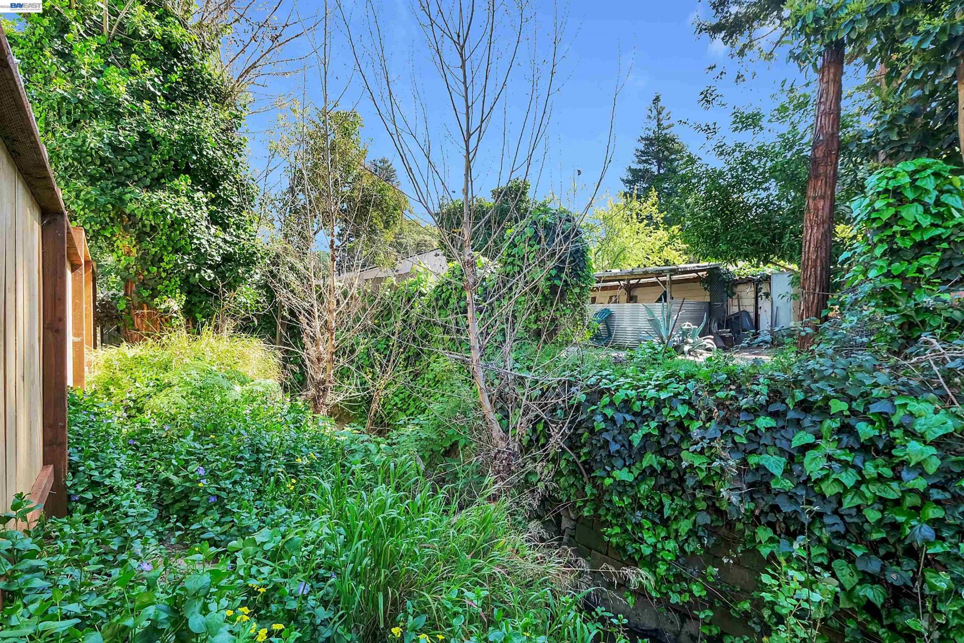 Property photo 29