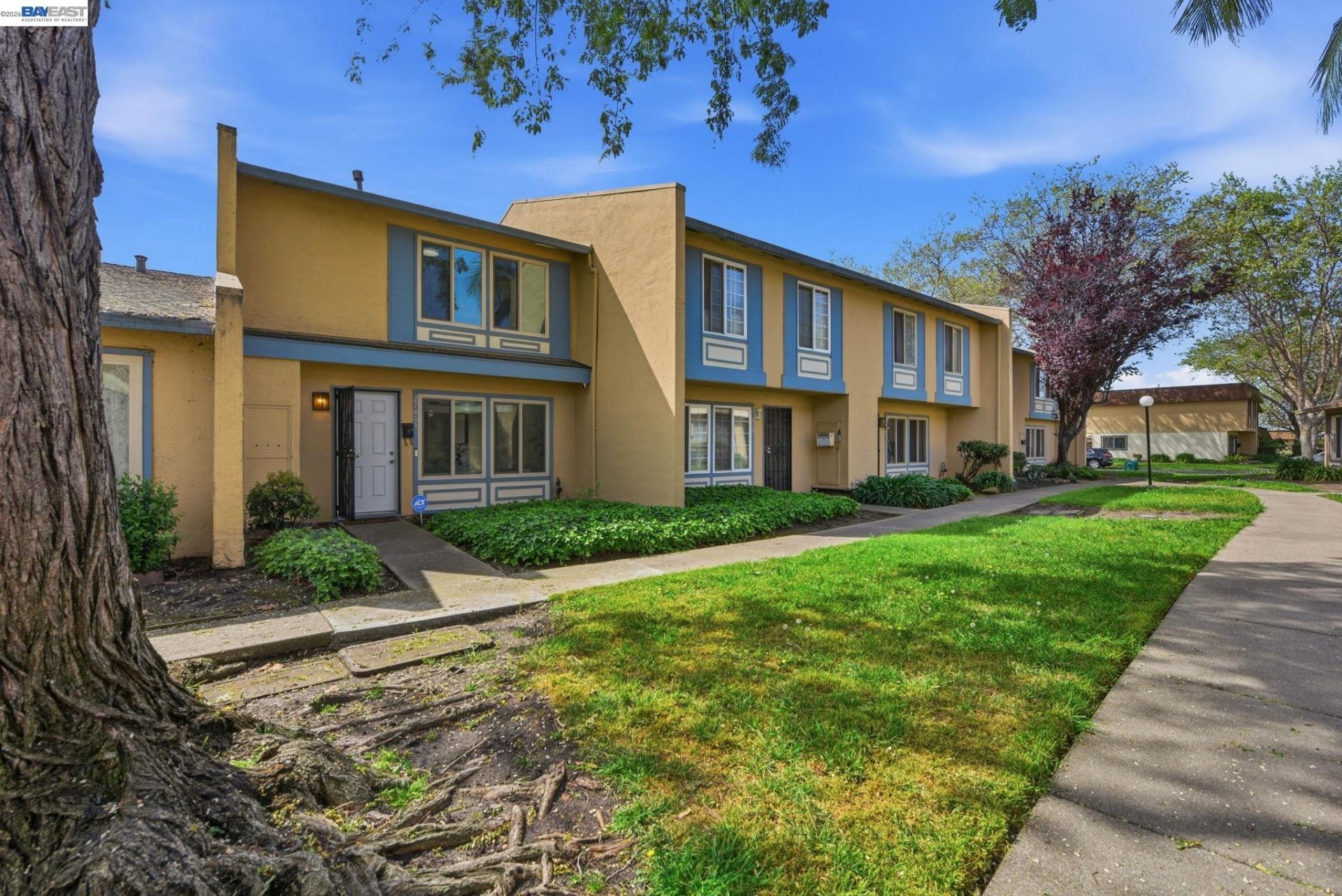 Property photo 41