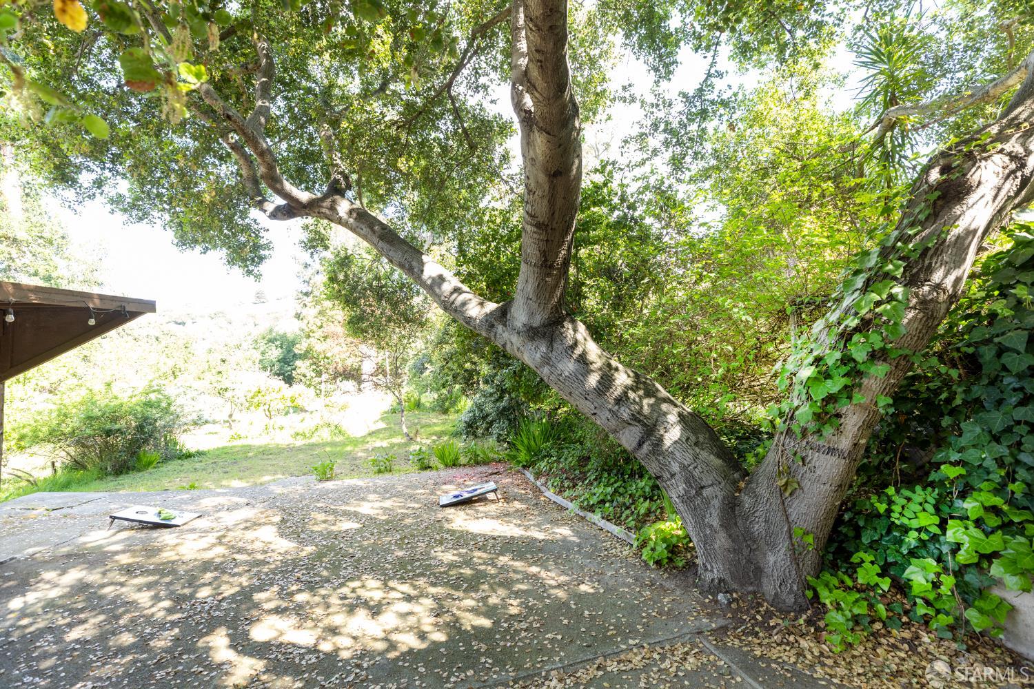 Property photo 47