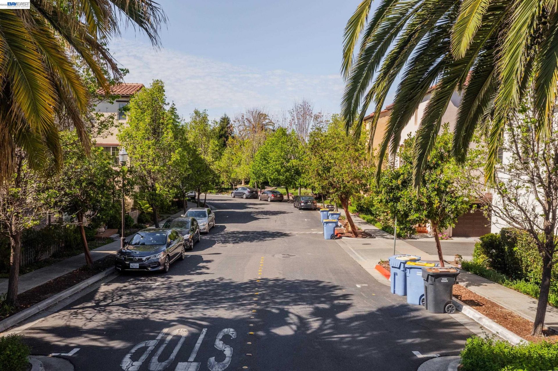 Property photo 42