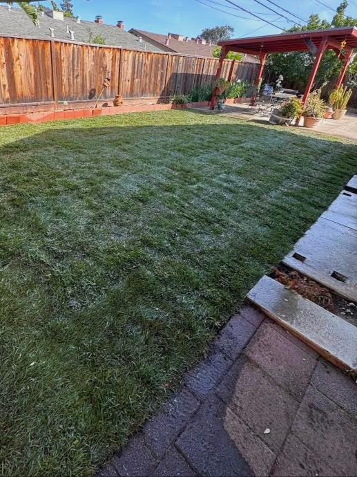 Property photo 36