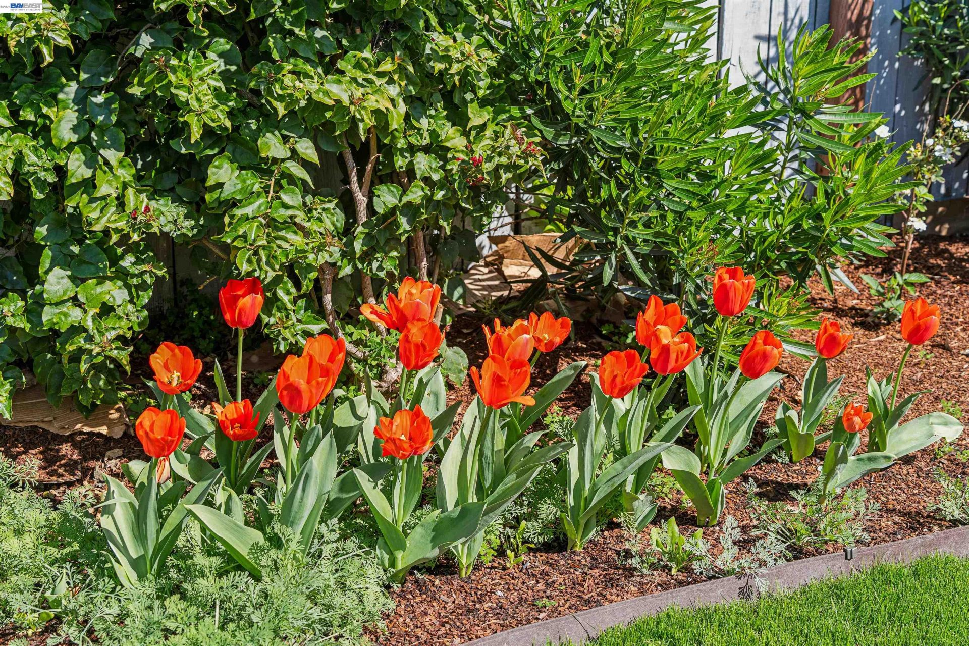 Property photo 39