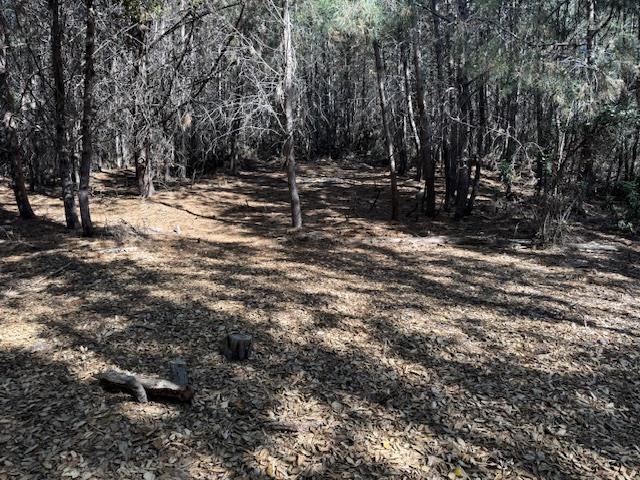 Property photo 39