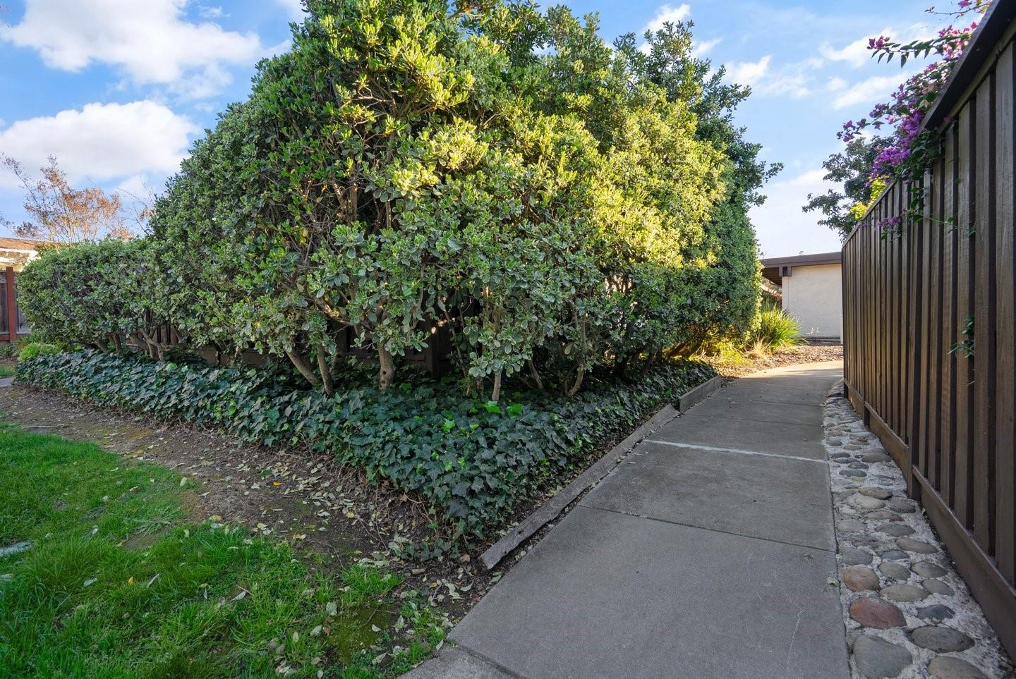 Property photo 37