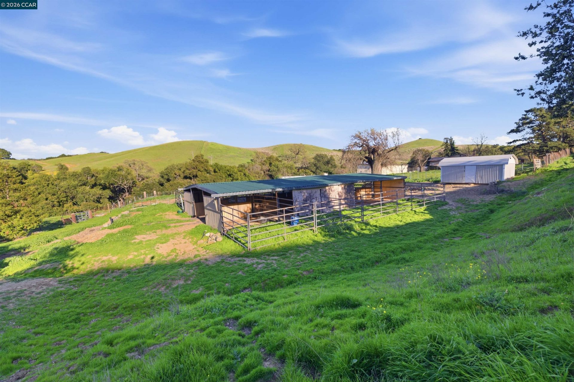 Property photo 46