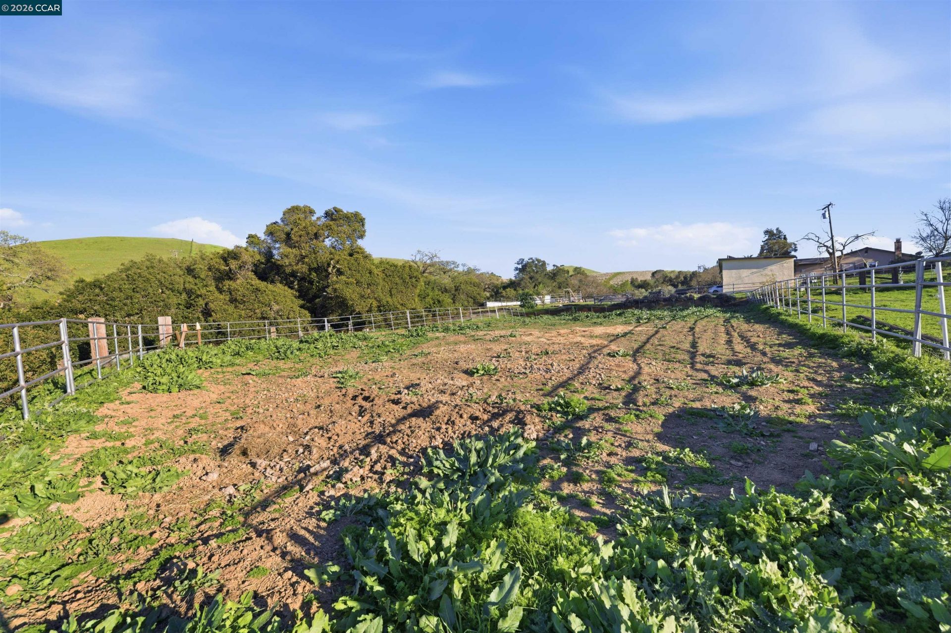 Property photo 47