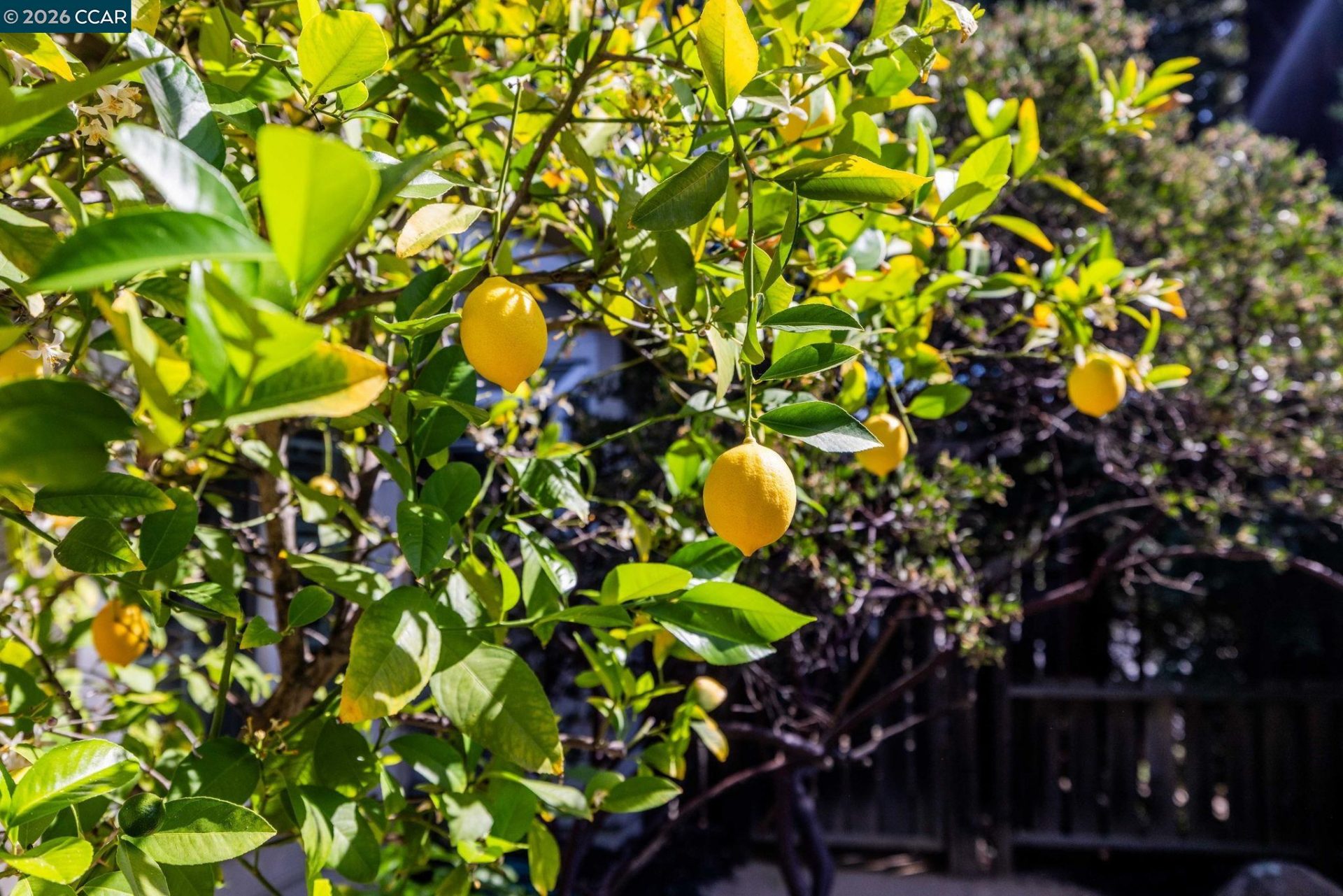 Property photo 31