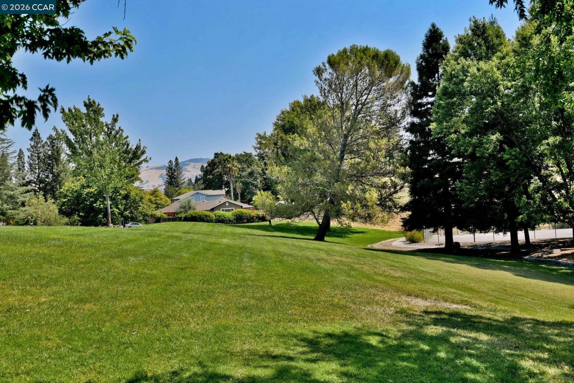 Property photo 40