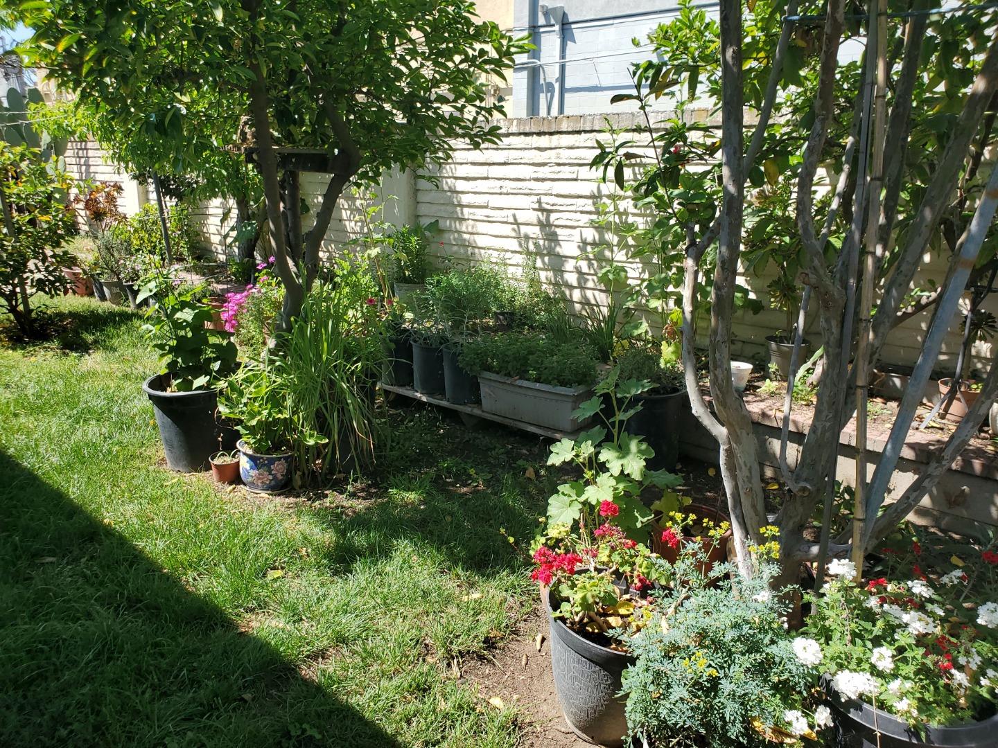 Property photo 31