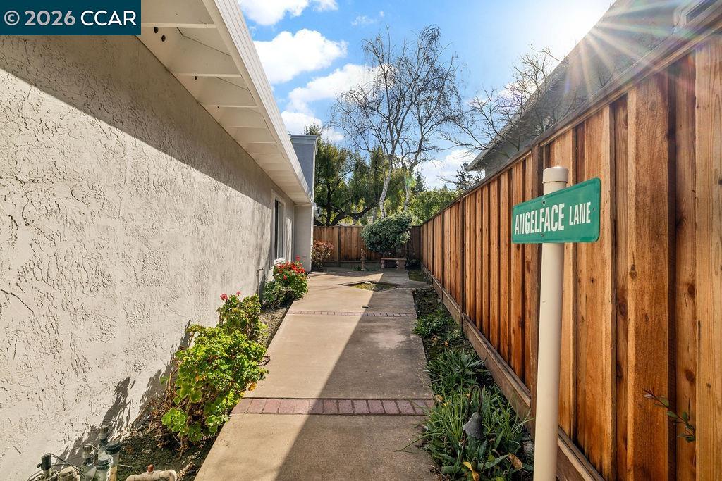 Property photo 44