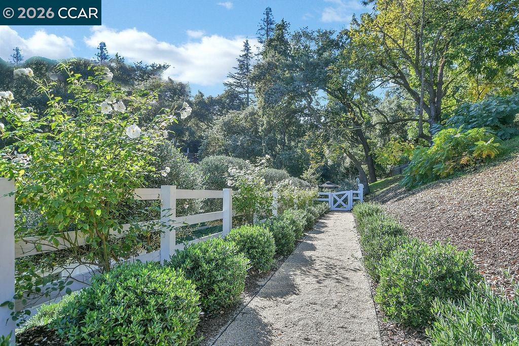 Property photo 45