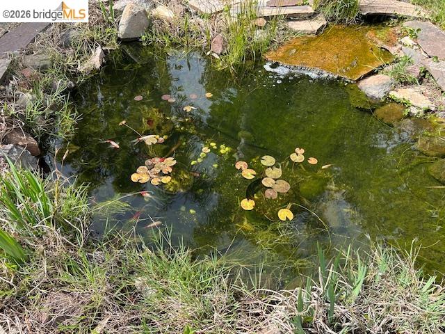 Property photo 42