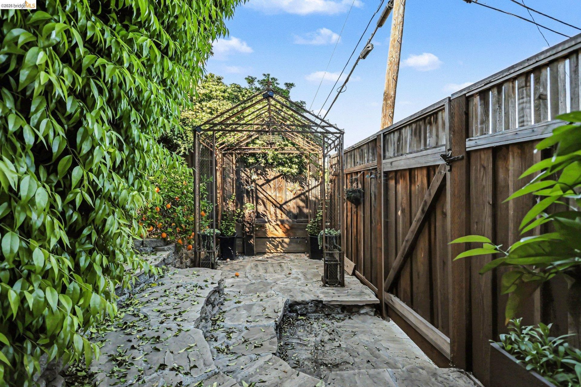 Property photo 46