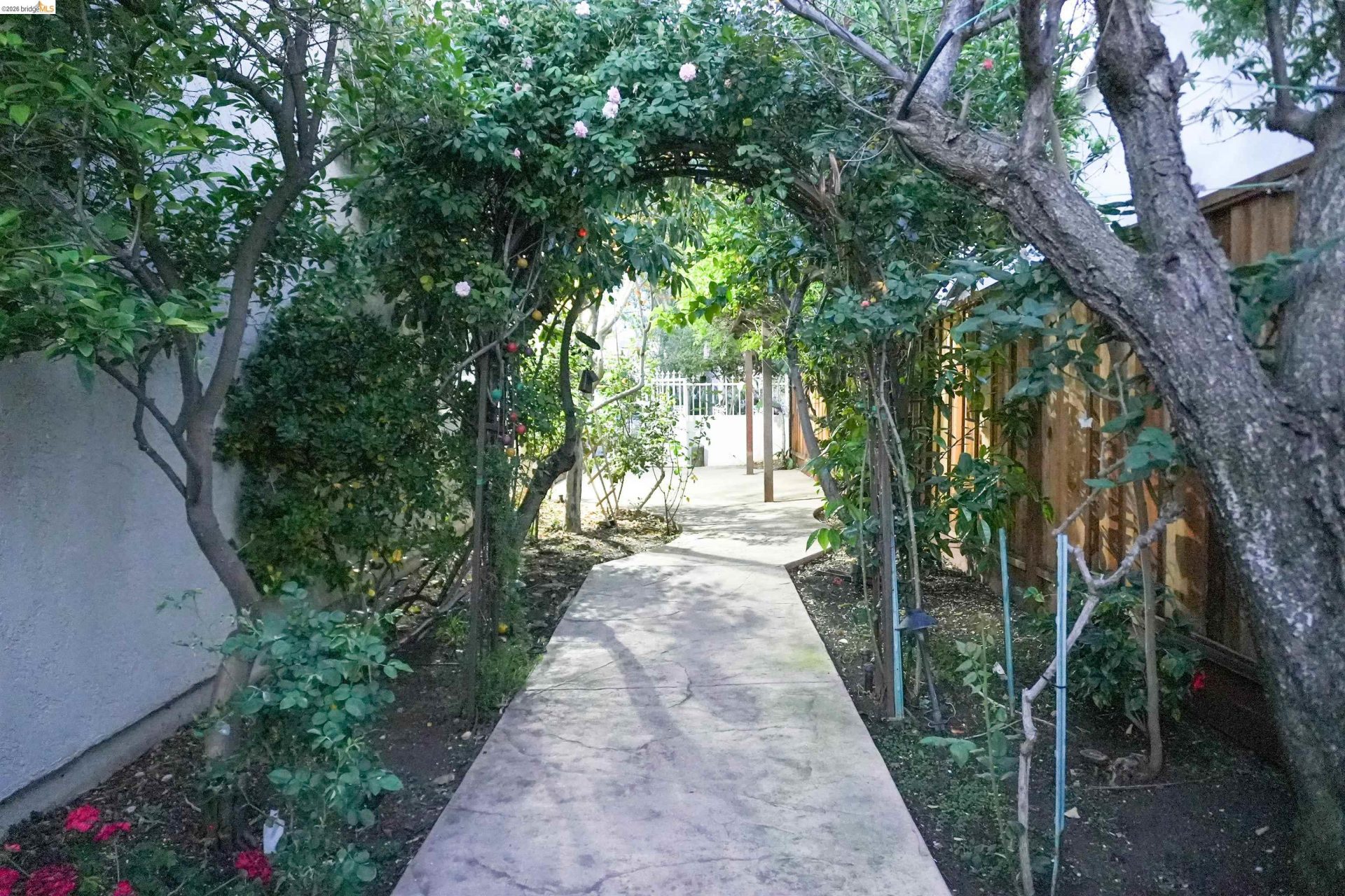 Property photo 43