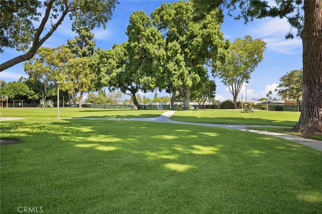 Property photo 44