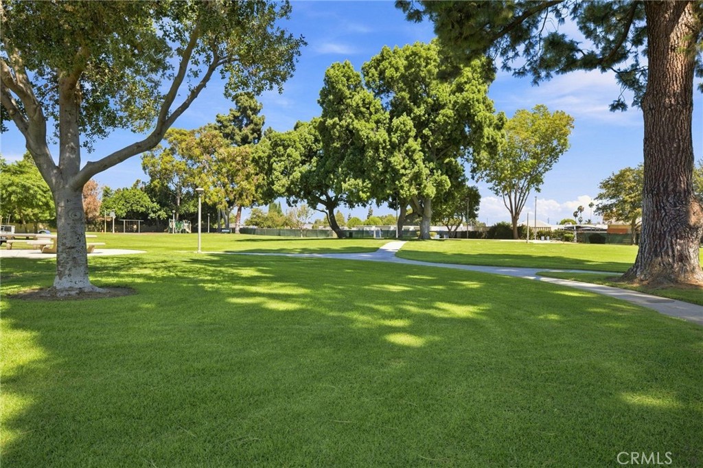 Property photo 46