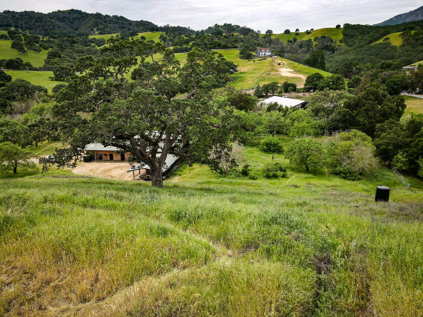 Property photo 41