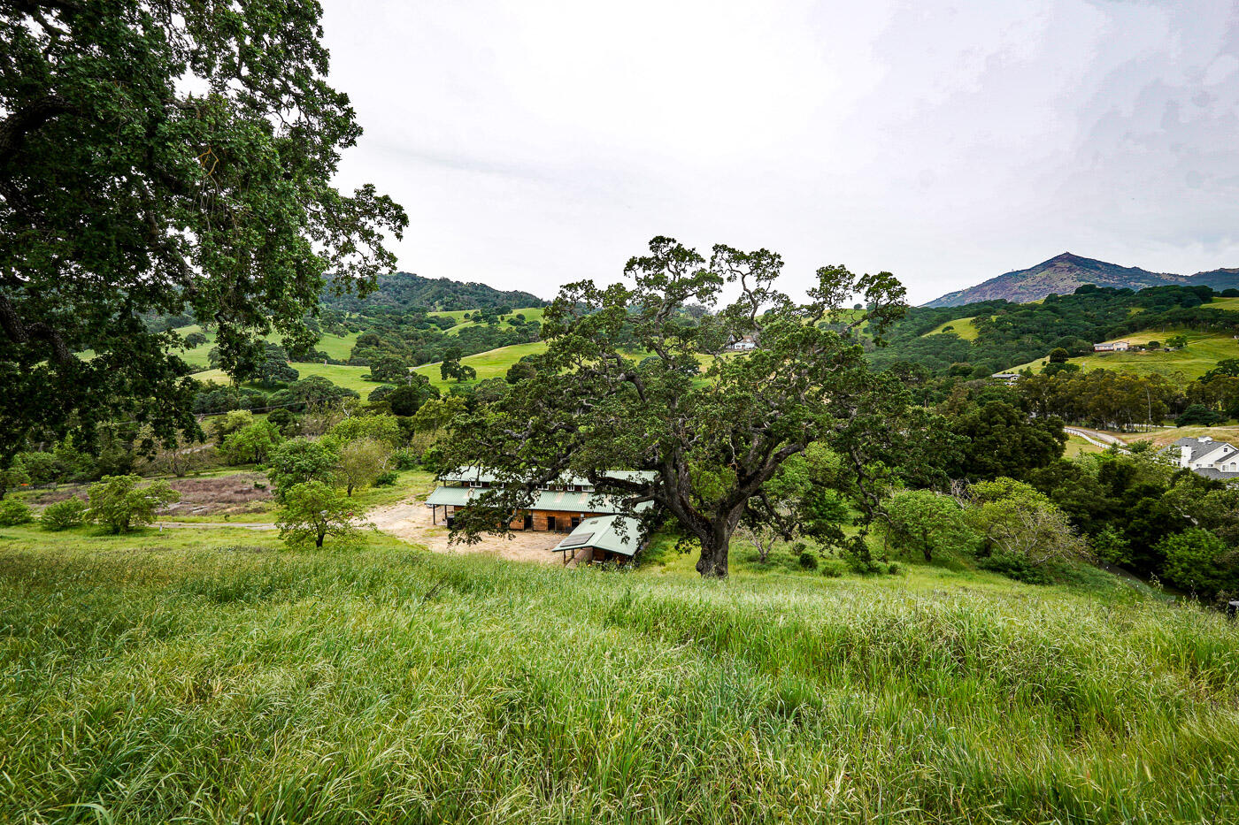Property photo 46