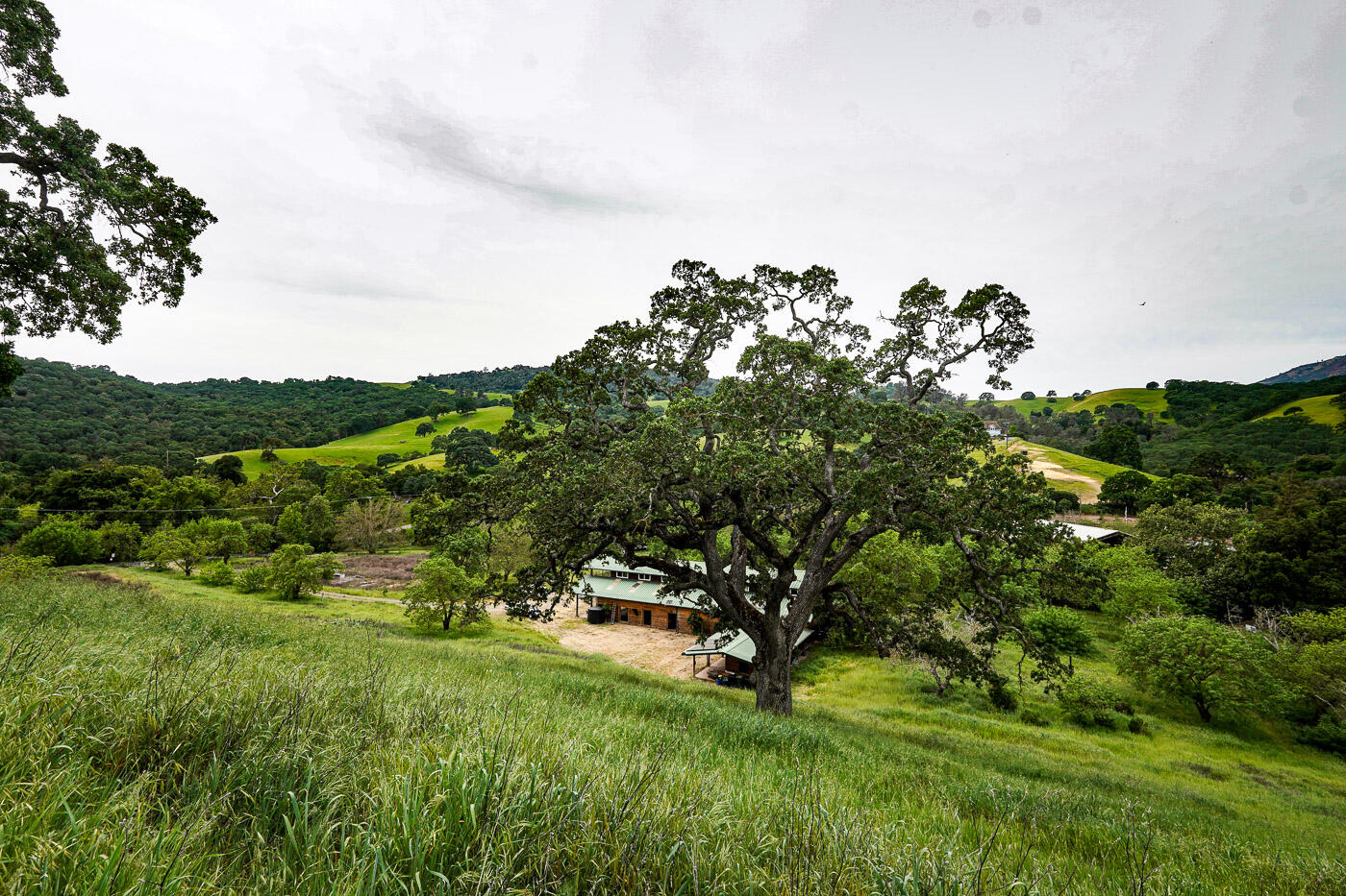 Property photo 48