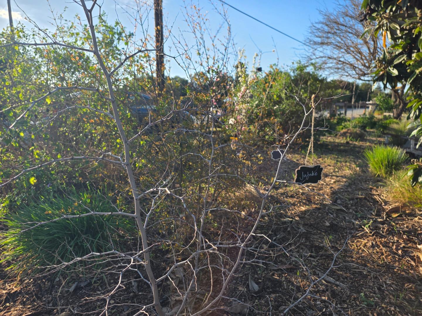 Property photo 39