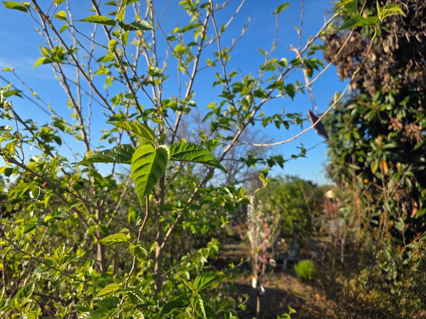 Property photo 45