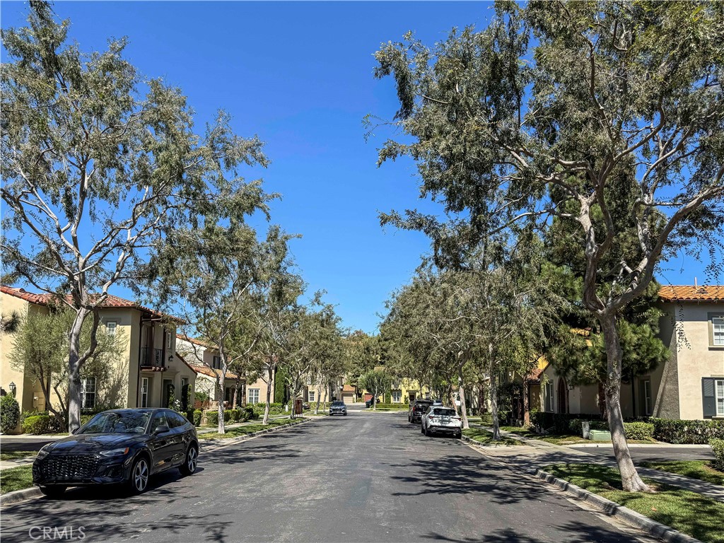 Property photo 43
