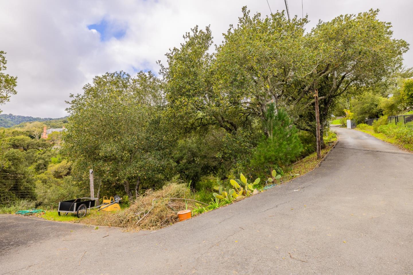 Property photo 19