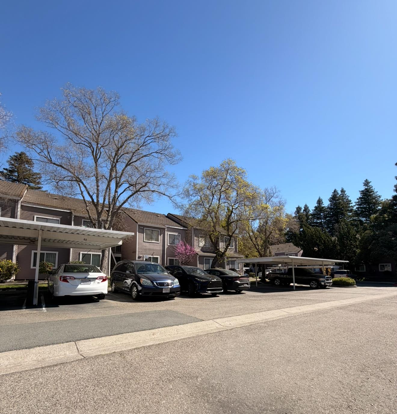 Property photo 42