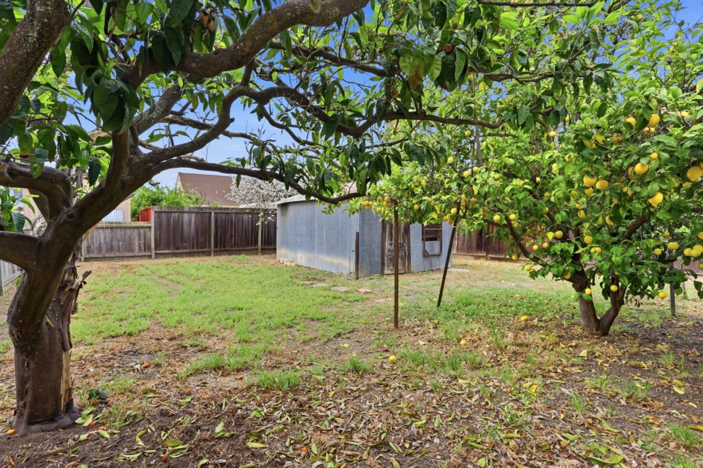 Property photo 50