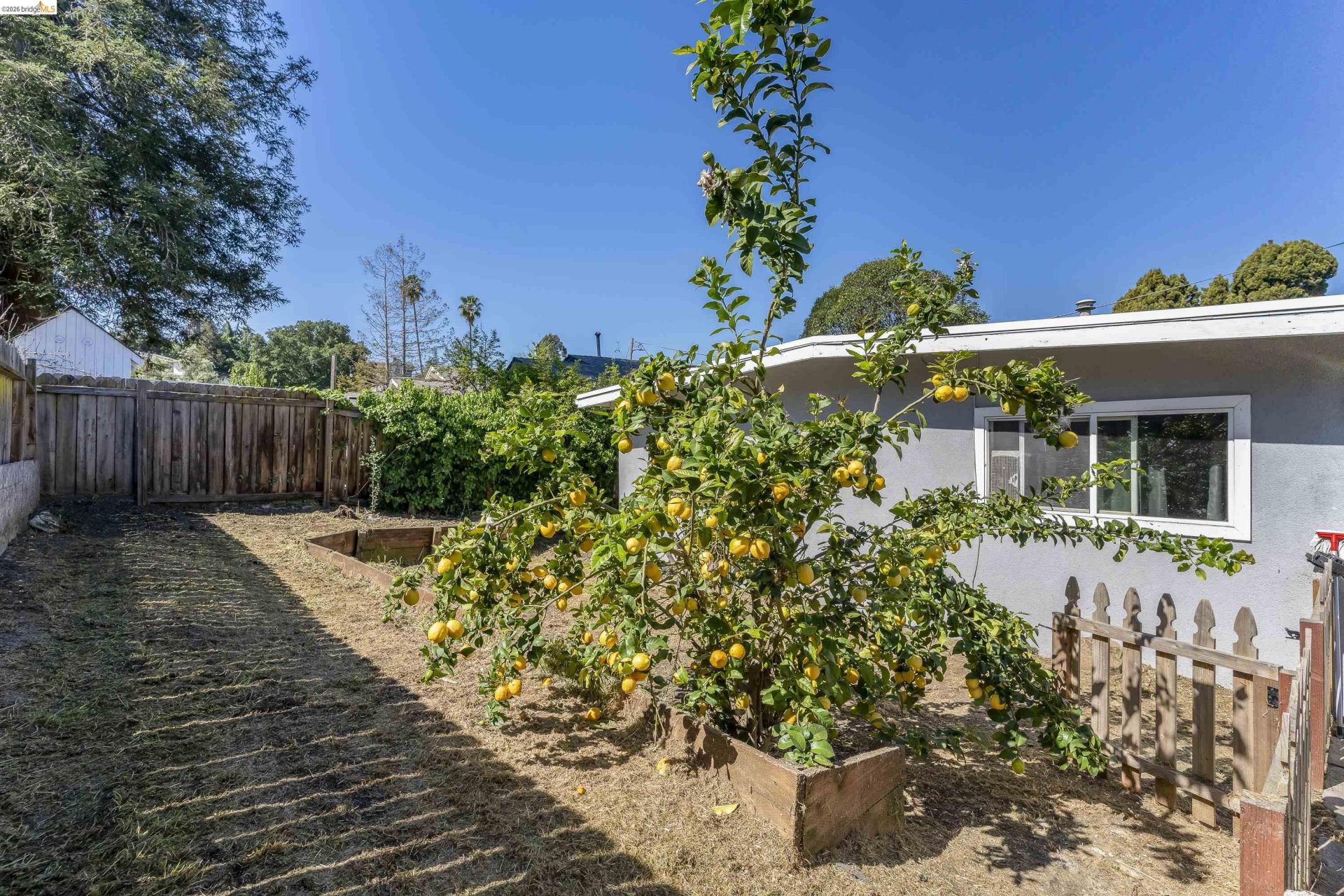 Property photo 51